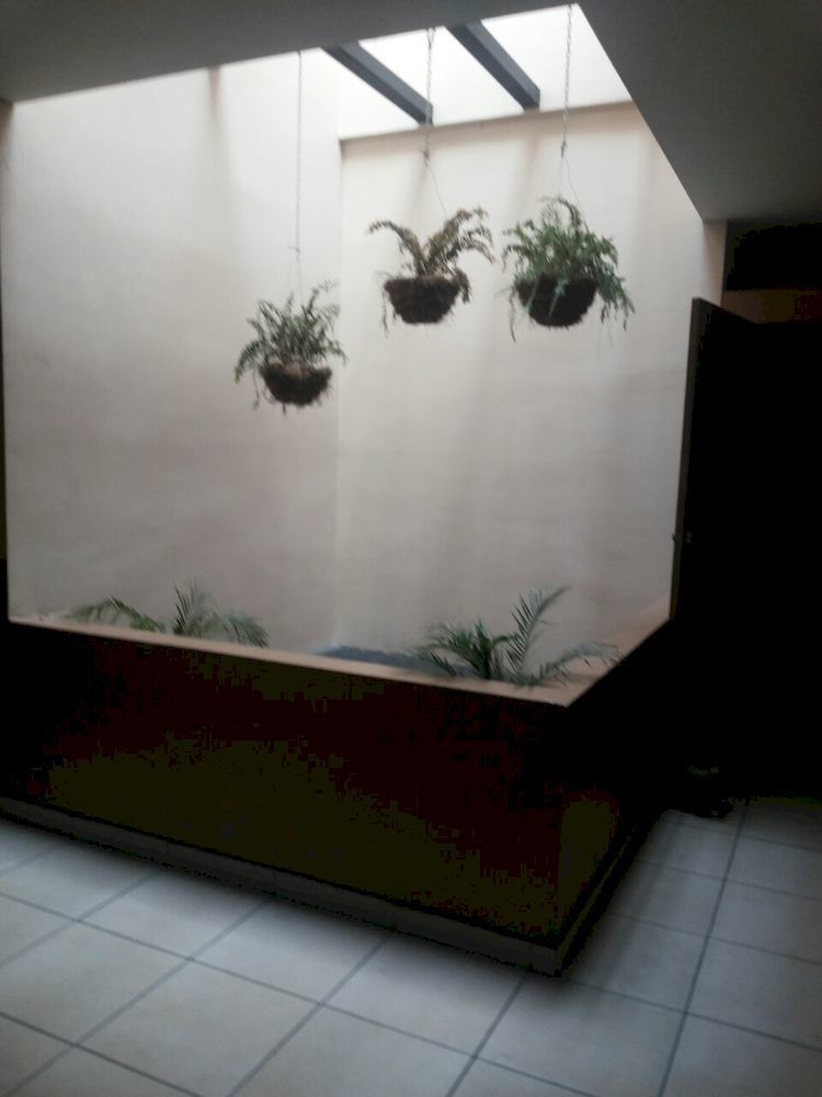 Hotel Quinta Avenida San Jose  Eksteriør bilde